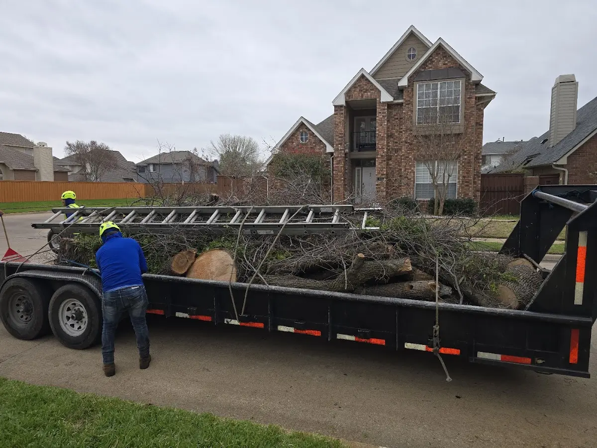 Expert Lot Clearing with proper safety equipment in Bonham